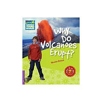 Книга Why do Volcanoes Erupt? (9780521138383) Cambridge University Press