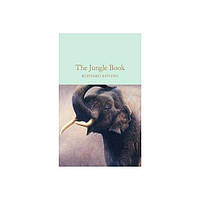 Книга The Jungle Book (9781909621817) Macmillan