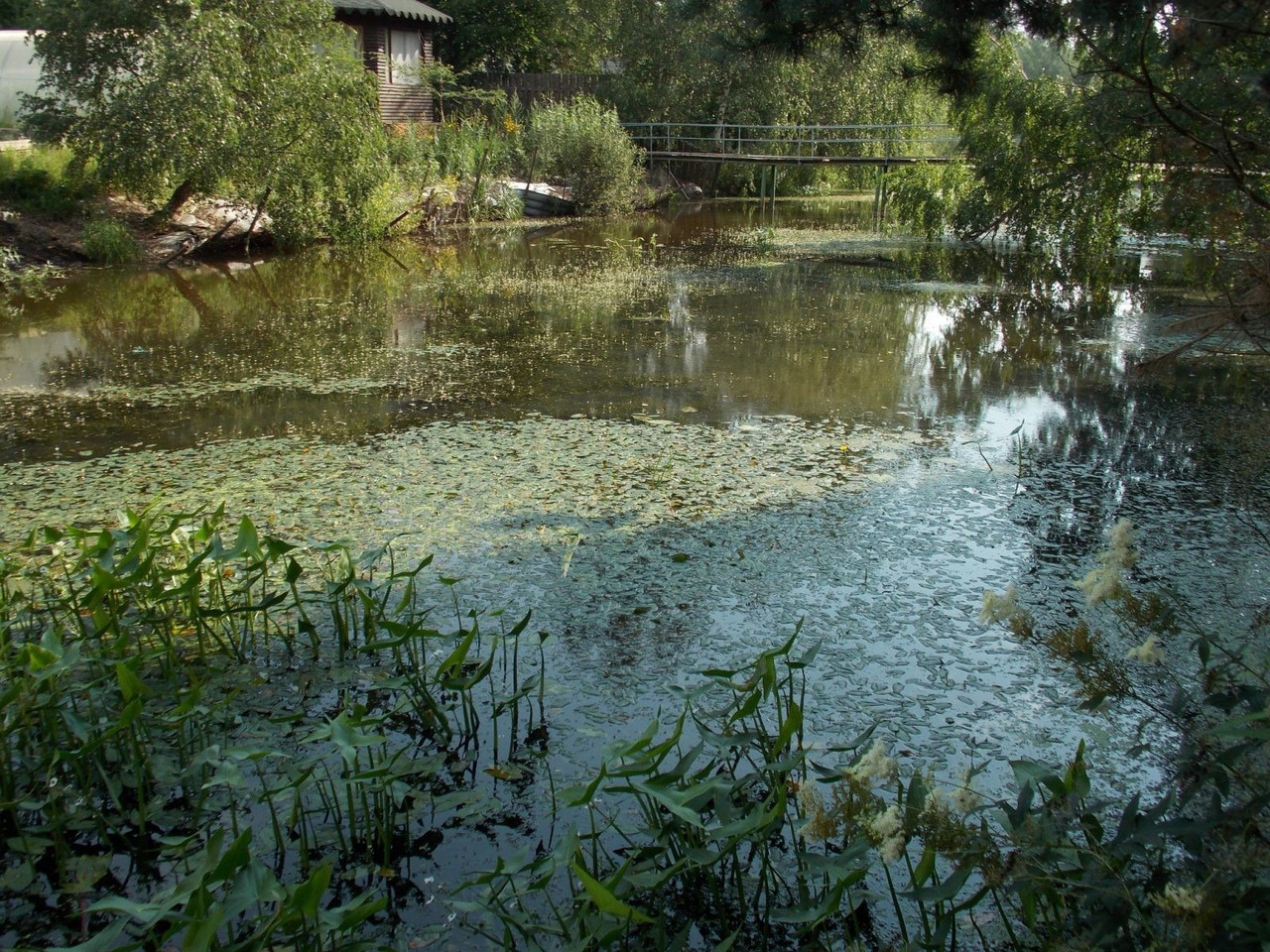 Экологический очиститель прудов озер водоемов бассейнов 1 кг Bioclar, Biofos - фото 3 - id-p1789240475