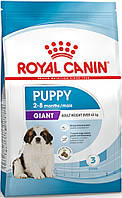 Royal Canin Giant Puppy, 1 кг