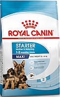 Royal Canin Maxi Starter, 4 кг