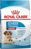 Royal Canin Medium Starter, 1 кг