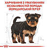 Royal Canin (Роял Канін) Yorkshire Terrier Puppy - корм для цуценят йоркширського тер'єра, 500 гр, фото 3