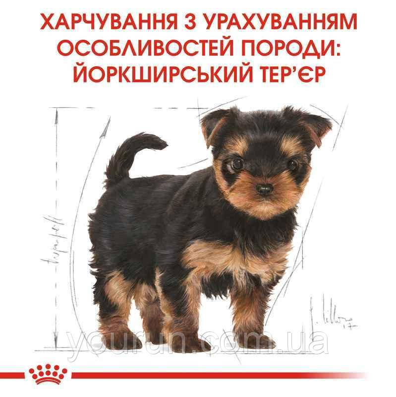 Royal Canin Yorkshire Terrier Puppy - корм для щенков йоркширского терьера, 7.5кг. - фото 2 - id-p91958233