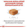 Royal Canin (Роял Канін) Yorkshire Terrier Puppy - корм для цуценят йоркширського тер'єра, 500 гр, фото 5