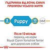 Royal Canin (Роял Канін) Yorkshire Terrier Puppy - корм для цуценят йоркширського тер'єра, 500 гр, фото 8