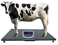 Весы для КРС 2000 кг (1250x2000 мм), без оградки, взвешивание коров, телят и бычков, от производителя Горизонт