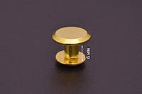 Винт ременной 10*6 мм, цвет золото