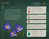 Зима. Щоденник Мавки Ранок, фото 3