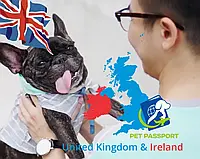 Консультация по перевозке кошек, собак и хорьков в Великобританию и Ирландию с Британским сертификатом