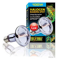 Фологенова лампа Exo Terra «Halogen Basking Spot» 100 W, E27 (для обігріву) Акція