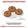 Royal Canin (Роял Канін) Mini Ageing +12-корм для собак малих порід старше 12 років 3.5 кг, фото 6