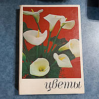 Альбом Квіти Кімнатні рослини і декоративно-квітучі чагарники 1978 р. Урожай Київ