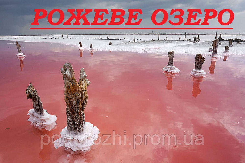 Херсон - Олешки - Рожеве озеро - Асканія Нова - Актівський каньйон
