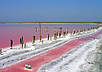 Херсон - Олешки - Рожеве озеро - Асканія Нова - Актівський каньйон, фото 4