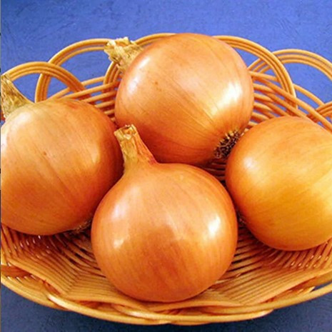 Цибуля сіянка Варяг (Гландія, TOP), 1кг