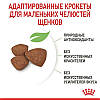 Royal Canin (Роял Канін) Mini Puppy - Сухий корм для щенят маленьких порід 800 гр, фото 5