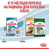 Royal Canin (Роял Канін) Mini Puppy - Сухий корм для щенят маленьких порід 800 гр, фото 10