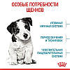 Royal Canin (Роял Канін) Mini Puppy - Сухий корм для щенят маленьких порід 800 гр, фото 6
