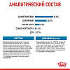Royal Canin (Роял Канін) Mini Puppy - Сухий корм для щенят маленьких порід 800 гр, фото 8