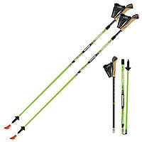 Палиці для скандинавської ходьби Gabel Nordic Revo A1 (7008351390000)