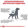 Royal Canin (Роял Канін) Sensitivity Dog - Сухий лікувальний корм для собак при алергіях 1.5 кг, фото 3