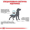 Royal Canin Hypoallergenic Dog - Сухий лікувальний корм для собак при харчовій алергії та непереносимості 2 кг, фото 5