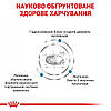 Royal Canin Hypoallergenic Dog - Сухий лікувальний корм для собак при харчовій алергії та непереносимості 2 кг, фото 4