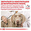 Royal Canin Hypoallergenic Dog - Сухий лікувальний корм для собак при харчовій алергії та непереносимості 2 кг, фото 8