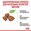 Royal Canin (Роял Канін) X-Small Puppy - Сухий корм для цуценят мініатюрних порід 500 гр, фото 5