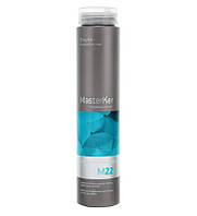 Шампунь для об'єму волосся з кератином Erayba MasterKer M22 Keratin Volume Shampoo, 250 мл