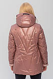 Жіноча демісезонна модна куртка Діана пудра, розміри 46-62, фото 4