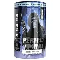 Skull Labs Perfect Amino 450 g