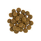 Сухий корм для собак великих порід зі свіжим м'ясом індички та ягняти Savory 12 кг, фото 3