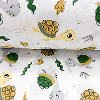 ΠΠΎΠ»ΡΡΡΠΊΠ° Π±ΡΠ·Ρ "Π§Π΅ΡΠ΅ΠΏΠ°ΡΠΊΠΈ Π·Π΅Π»Π΅Π½Ρ, ΠΆΠΎΠ²ΡΡ", ΡΠΎΡΠΎ 3