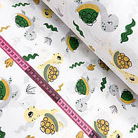 ΠΠΎΠ»ΡΡΡΠΊΠ° Π±ΡΠ·Ρ "Π§Π΅ΡΠ΅ΠΏΠ°ΡΠΊΠΈ Π·Π΅Π»Π΅Π½Ρ, ΠΆΠΎΠ²ΡΡ", ΡΠΎΡΠΎ 2