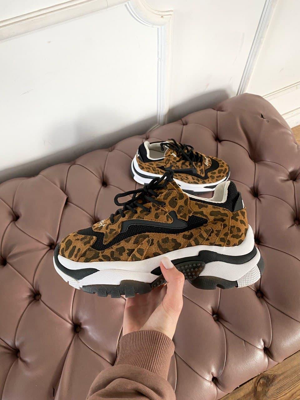 Ash sneakers deals addict leopard