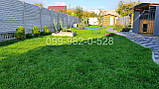 Насіння  газону СПОРТ 5кг трава+ добрива легко посіяти самому, фото 2