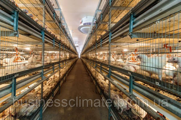 Микроклимат куриной фермы - фото 10 - id-p1790125949