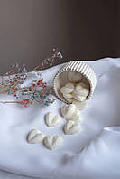 Набір міні-саше (15шт) з соєвого воску з ароматом в гіпсовом кашпо ручної роботи