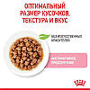 Royal Canin (Роял Канін) Kitten Instinctive для кошенят до 12 міс (шматочки в соусі) 85гр, фото 3