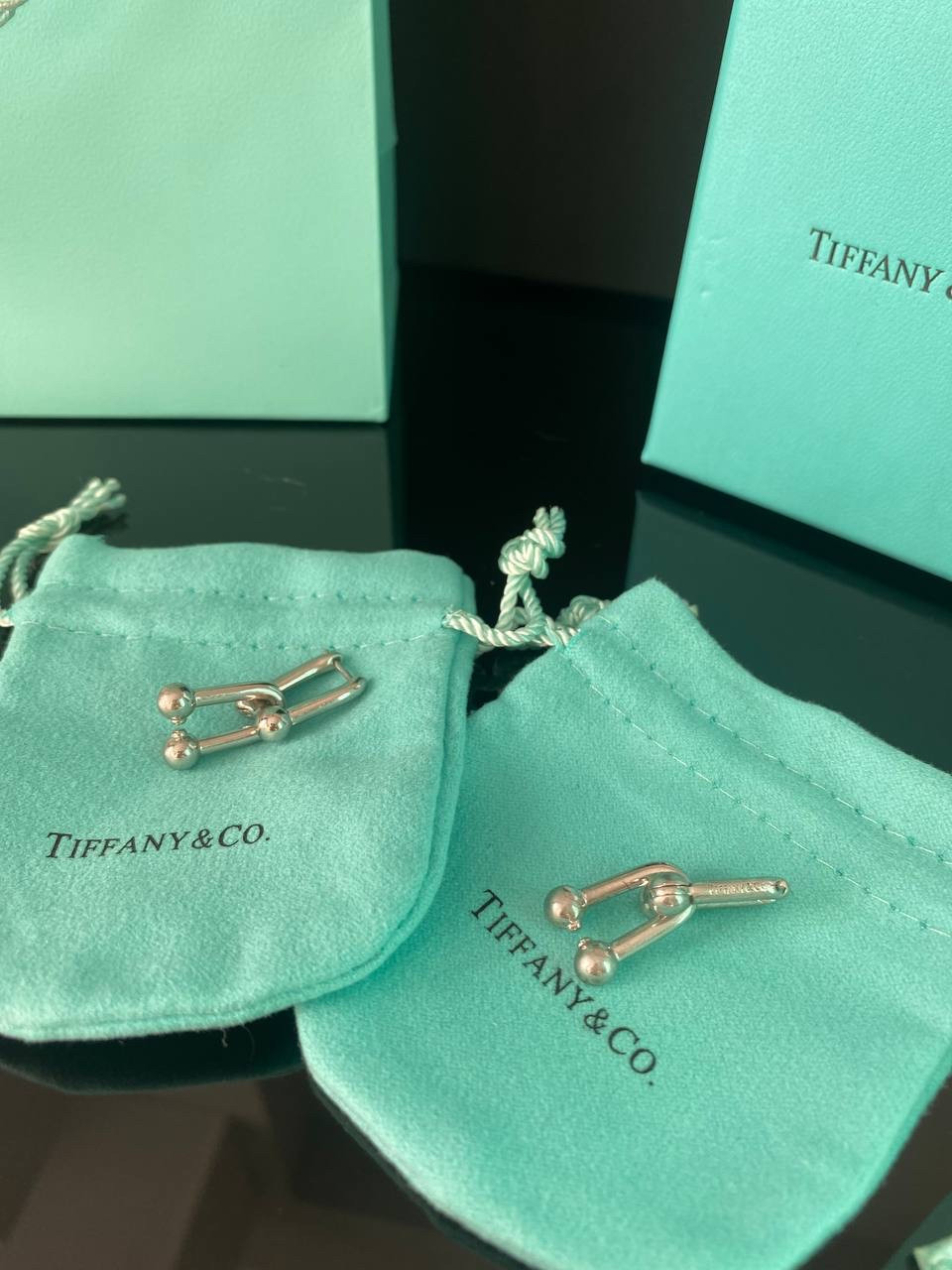 Тіффані сережки Hardwear/Tiffany сережки напилення срібло/упакована в мішечок Tiffany
