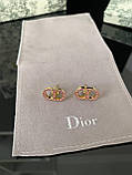Діор сережки гвоздики з дрібним цирконієм / Сережки гвоздики з рожевими кристалами, фото 3