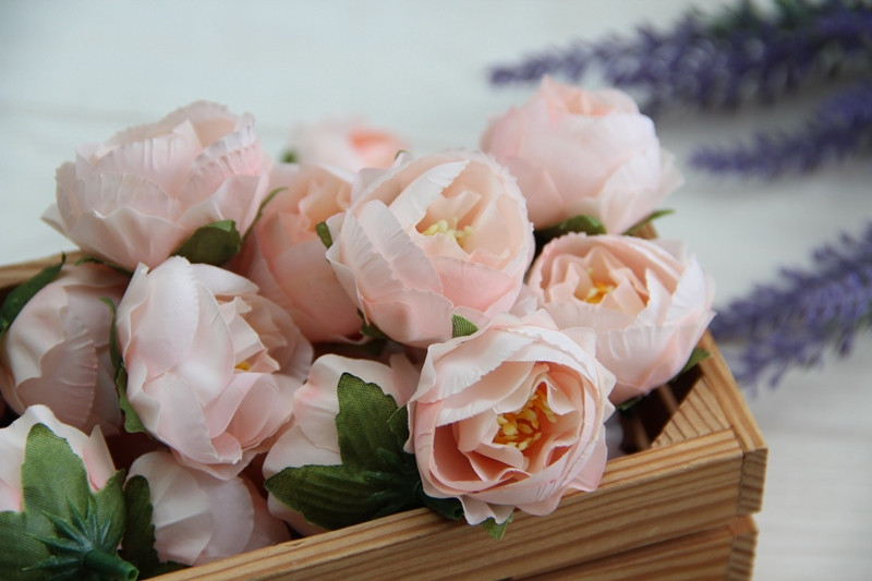 Півонія Кучерява МАЛЕНЬКА , головка персикова пудра 25 шт