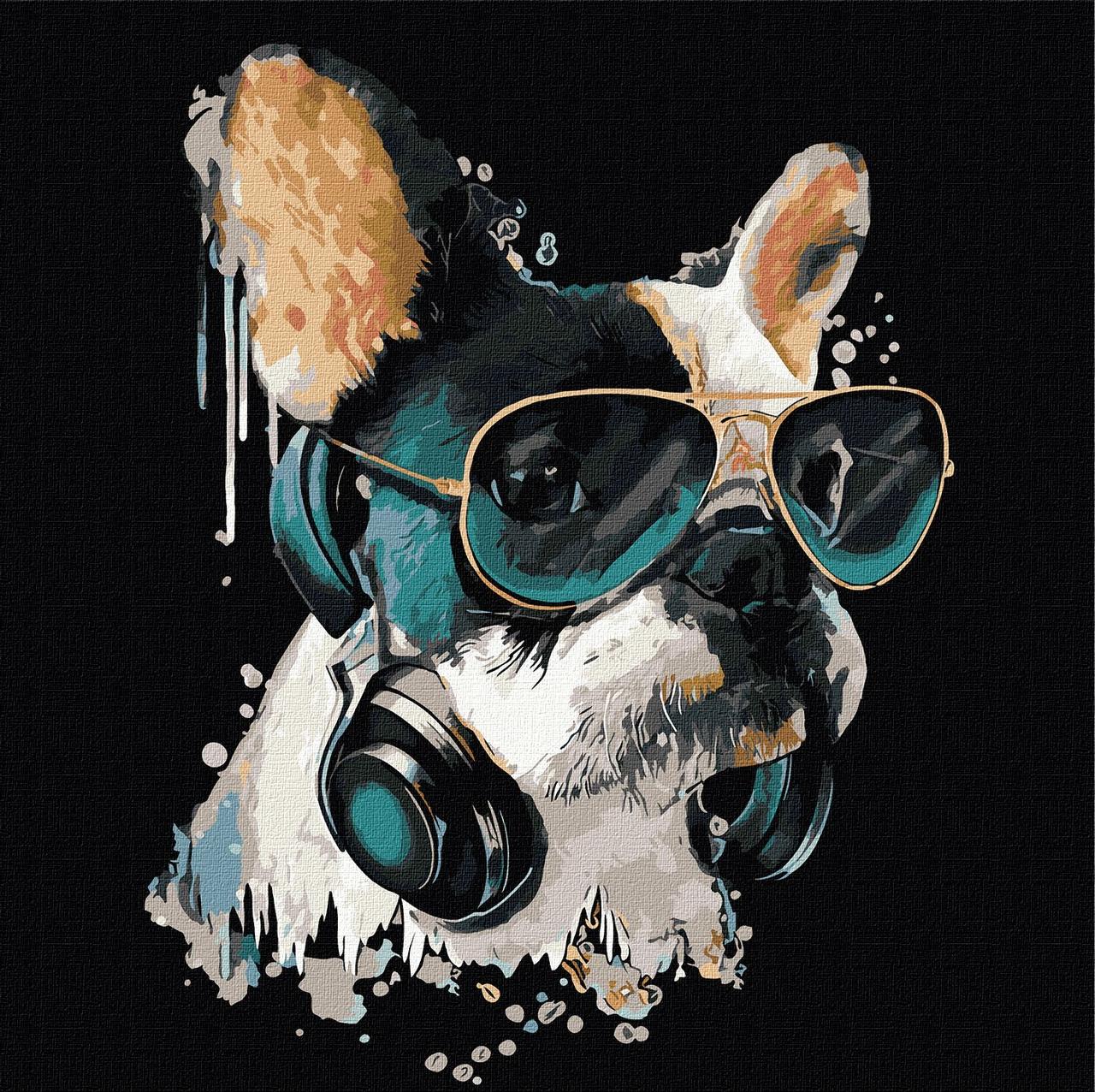 Картина за номерами - Пухнастий діджей 40х40 см Ideyka KHO4309, фото 1