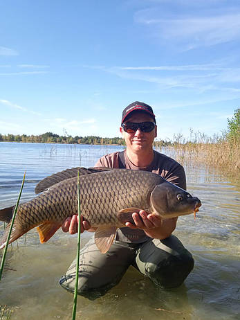 Методний пелетс, метод мікс Солодка Кукурудза - Мед (Sweet Corn - Honey) Carp Drive 5 в 1, фото 2