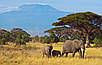 Танзанія, фото 8