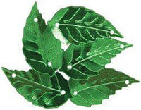 Пайетки листья березы листик березовый зеленый с Блестками (Глиттер) 2,5 см Пришивные пайетки для нити