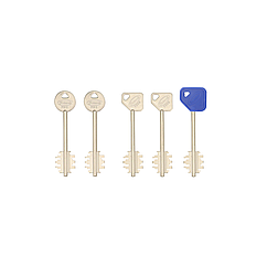 Набір ключів до замків серії 7100/8100 з гостьовим ключем - 3+2 ключів - 98 мм