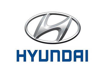 Гумові килимки в салон для Hyundai (Хюндай)